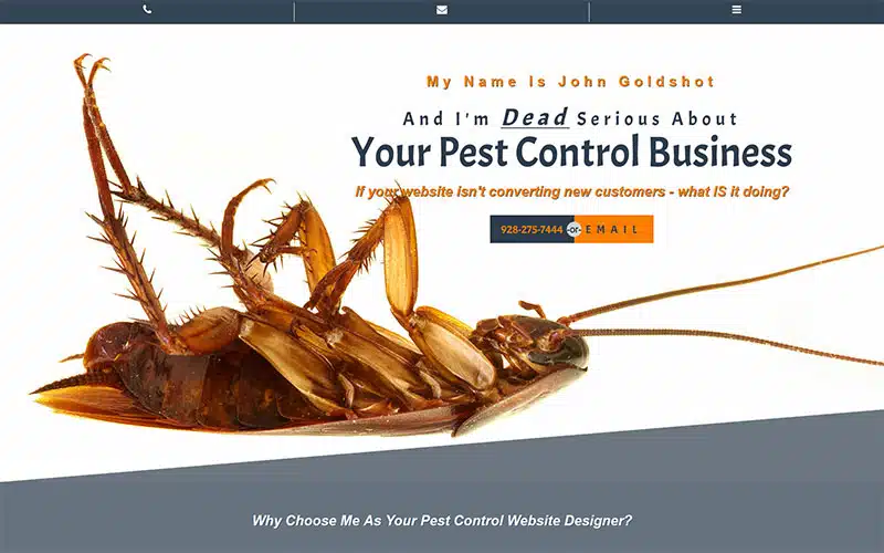 Pest Control Website Design